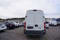 Iveco Daily Daily 35S13 V Weiß - thumbnail 5