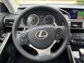 Lexus IS 300 h Executive Line Kamera, Bi-Xenon, 8-fach Gris - thumbnail 9