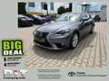 Lexus IS 300 h Executive Line Kamera, Bi-Xenon, 8-fach Gri - thumbnail 1