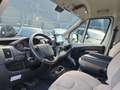Adria Twin 600 SP OffRoad Markise Winterfest Solar AHK Argent - thumbnail 10
