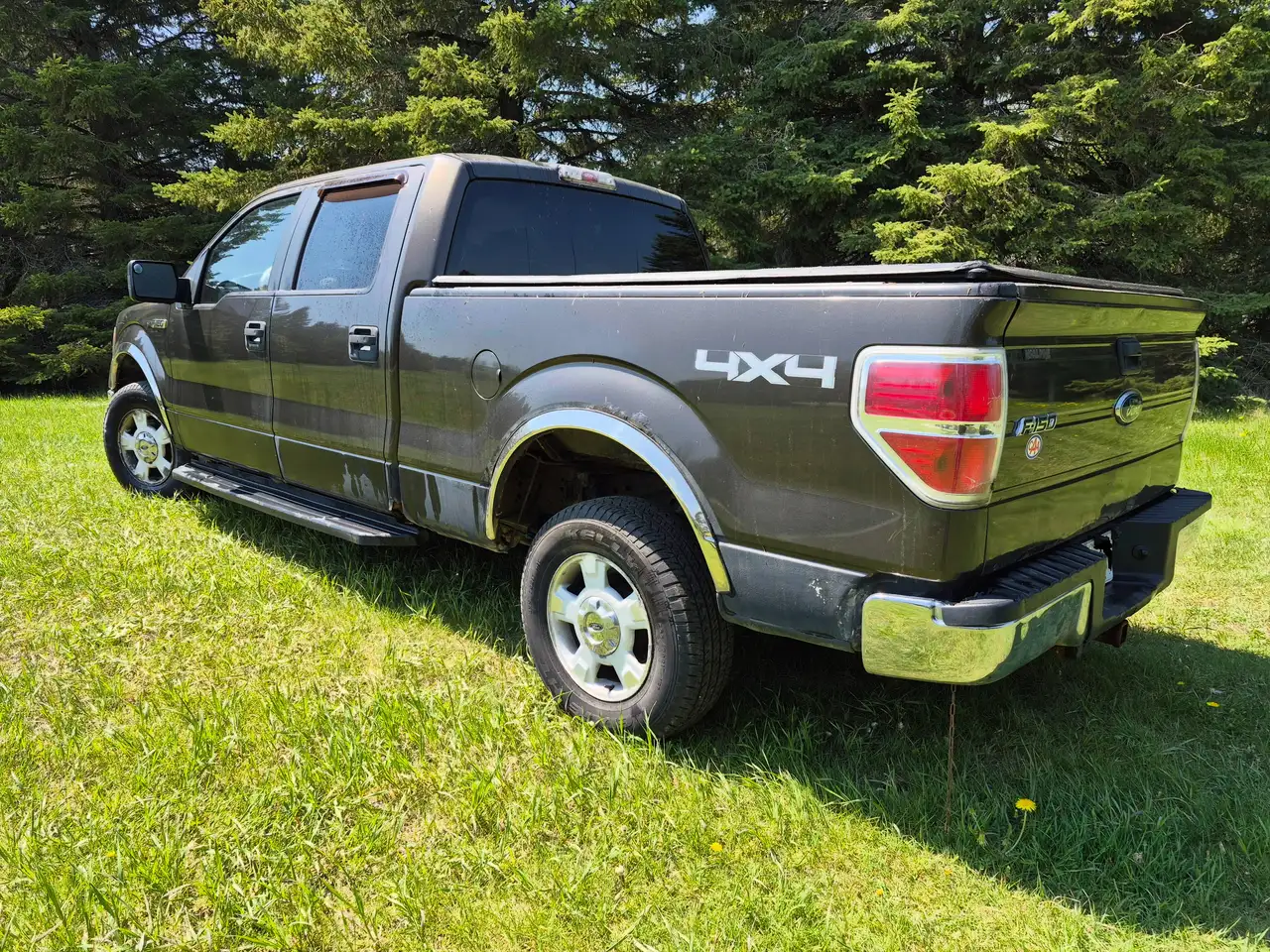 Ford F 150 снимка Ford F 150
