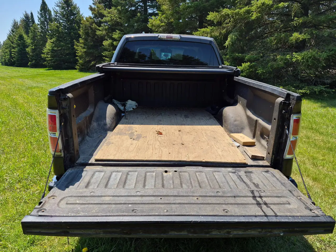 Ford F 150 снимка Ford F 150