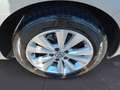 Volkswagen Golf 5 Porte 1.0 TSI BlueMotion Business Grigio - thumbnail 12