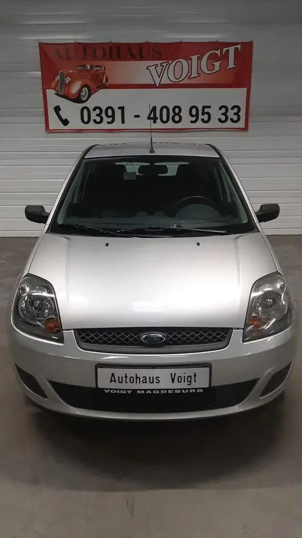 Ford Fiesta Fun X Silber - 1
