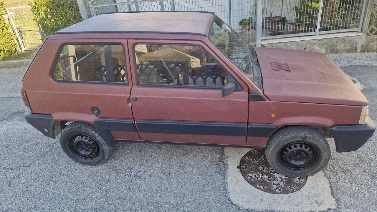 Fiat Panda 1.0 4x4 benzina gpl, foto 3