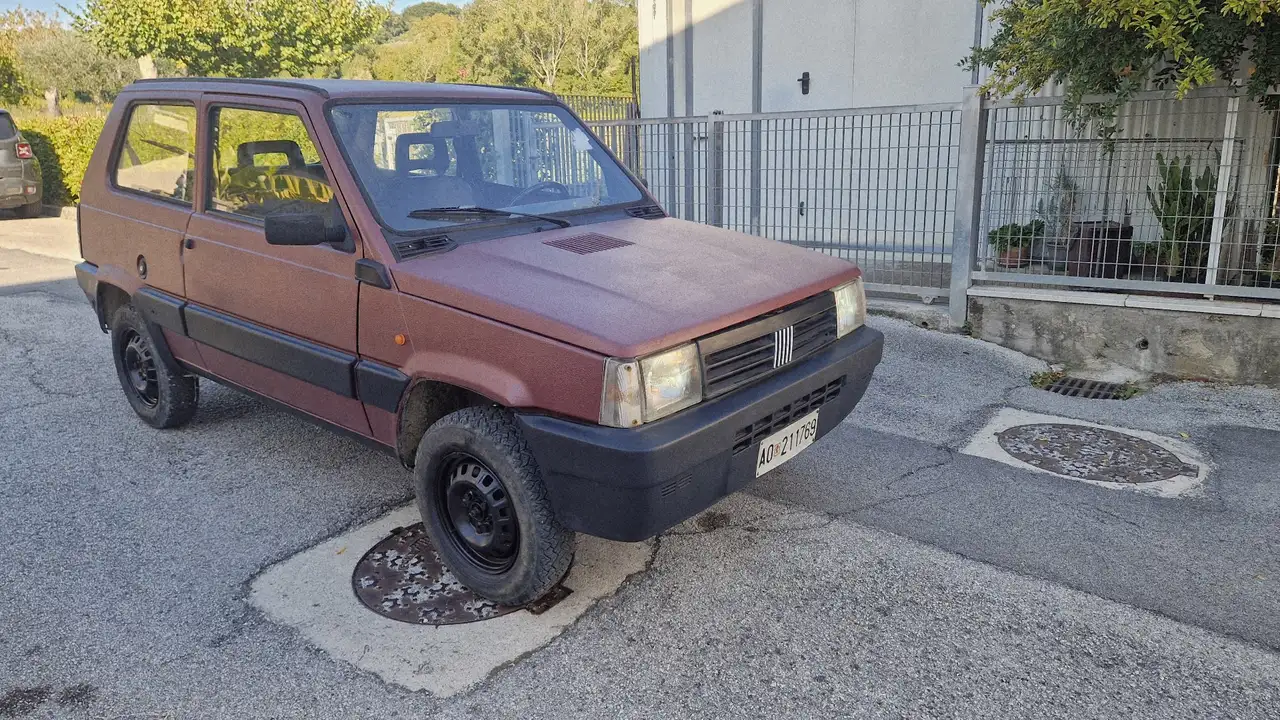 Fiat Panda 1.0 4x4 benzina gpl, foto 2