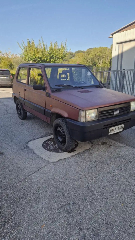 Fiat Panda 1.0 4x4 benzina gpl, foto 1