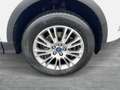 Ford Kuga 2,0 TDCi Titanium 4x4 Aut. Weiß - thumbnail 7