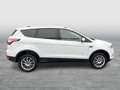 Ford Kuga 2,0 TDCi Titanium 4x4 Aut. Weiß - thumbnail 6