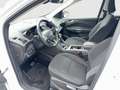 Ford Kuga 2,0 TDCi Titanium 4x4 Aut. Weiß - thumbnail 8