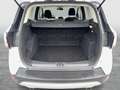 Ford Kuga 2,0 TDCi Titanium 4x4 Aut. Weiß - thumbnail 34