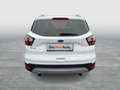 Ford Kuga 2,0 TDCi Titanium 4x4 Aut. Weiß - thumbnail 5