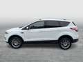 Ford Kuga 2,0 TDCi Titanium 4x4 Aut. Weiß - thumbnail 24