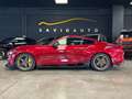 Ford Mustang MUSTANG ECO BOOST - PREZZO PER OPERATORI SETTORE Rosso - thumbnail 4