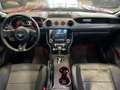 Ford Mustang MUSTANG ECO BOOST - PREZZO PER OPERATORI SETTORE Rosso - thumbnail 14
