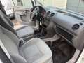 Volkswagen Caddy Maxi Kasten Weiß - thumbnail 6