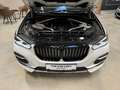 BMW X5 xDrive 30d xLine AHK Head Up uvm bijela - thumbnail 5