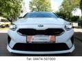 Kia ProCeed / pro_cee'd pro cee'd TGDI 205 GT Kamera Navi JBL 1.Hand Blanc - thumbnail 20