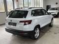 Skoda Karoq 2.0 TDI 4x4 Style LED Navi Bianco - thumbnail 5