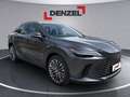 Lexus RX 450h 4WD Luxury + Panorama Glasdach MY2026 Grau - thumbnail 6