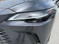 Lexus RX 450h 4WD Luxury + Panorama Glasdach MY2026 Grau - thumbnail 7