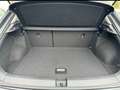 Volkswagen T-Roc Basis Weiß - thumbnail 18