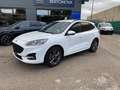 Ford Kuga 2.0 EcoBlue 120CV aut. AWD ST-Line X Bianco - thumbnail 2