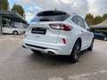 Ford Kuga 2.0 EcoBlue 120CV aut. AWD ST-Line X Bianco - thumbnail 3