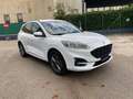 Ford Kuga 2.0 EcoBlue 120CV aut. AWD ST-Line X Bianco - thumbnail 6
