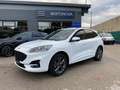 Ford Kuga 2.0 EcoBlue 120CV aut. AWD ST-Line X Bianco - thumbnail 1