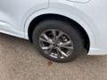 Ford Kuga 2.0 EcoBlue 120CV aut. AWD ST-Line X Bianco - thumbnail 10
