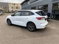 Ford Kuga 2.0 EcoBlue 120CV aut. AWD ST-Line X Bianco - thumbnail 9