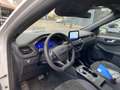 Ford Kuga 2.0 EcoBlue 120CV aut. AWD ST-Line X Bianco - thumbnail 12