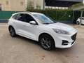 Ford Kuga 2.0 EcoBlue 120CV aut. AWD ST-Line X Bianco - thumbnail 8