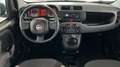 Fiat Panda Hybrid 1.0 51kw (70CV) Grau - thumbnail 8
