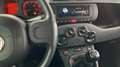 Fiat Panda Hybrid 1.0 51kw (70CV) Grau - thumbnail 20