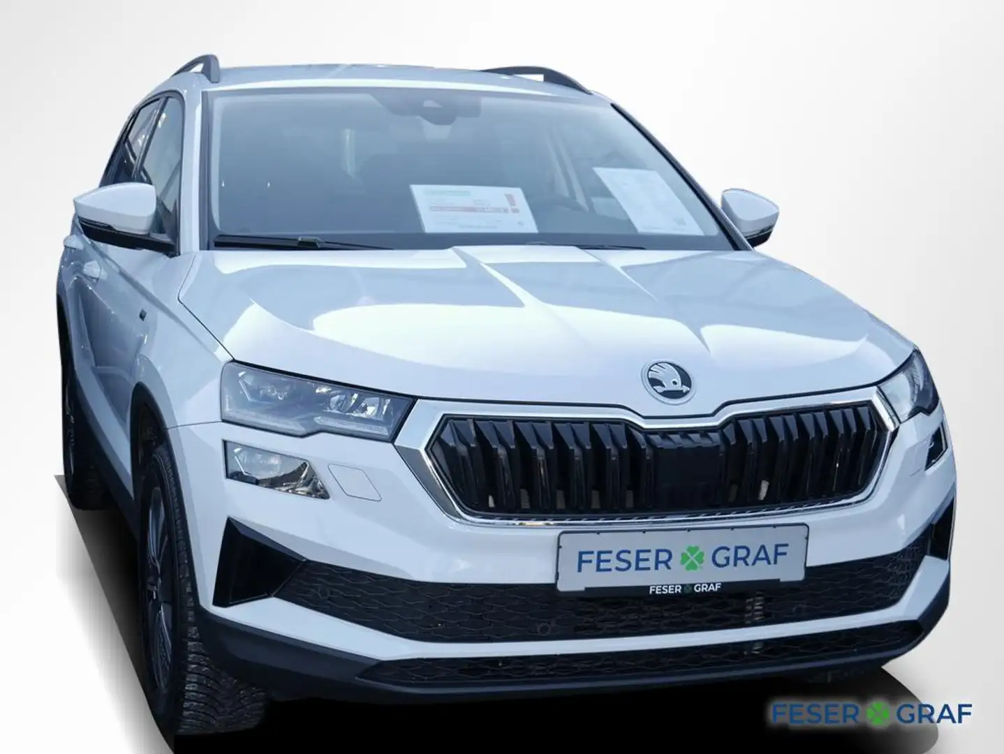 Skoda Karoq 1.0 TSI Tour Matrix RüKa Sitzh. Smart Link Weiß - 2