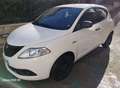 Lancia Ypsilon 1.2 Fire  69 Cv Elefantino Blu Alb - thumbnail 1