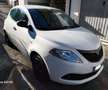 Lancia Ypsilon 1.2 Fire  69 Cv Elefantino Blu Alb - thumbnail 4