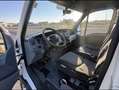 Iveco Daily 35c15 Pritsche 3.0 Motor Weiß - thumbnail 7
