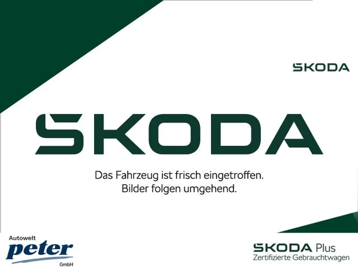 Skoda Enyaq Enyaq iV 80x ecoSuite **PANORAMA*AHK*AREA VIEW** Blauw - 1