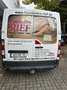 Renault Master ENERGY dCi 135 Start & Stop L1H1 Weiß - thumbnail 4