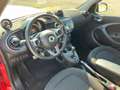 smart forFour Forfour 900 TURBO 90cv ALLESTIMENTO BRABUS Rosso - thumbnail 13