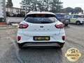 Ford Puma 1.0 EcoBoost 125CV S&S Titanium PROMO WEB Weiß - thumbnail 36