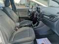 Ford Puma 1.0 EcoBoost 125CV S&S Titanium PROMO WEB Weiß - thumbnail 32