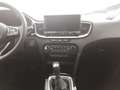 Kia Ceed / cee'd Ultimate Edition 1.5T Mild-Hybrid Style-Paket Navi Noir - thumbnail 11