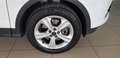 Ford Kuga 2.0 TDCI 120 CV S&S 2WD Plus Bianco - thumbnail 9
