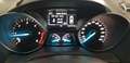 Ford Kuga 2.0 TDCI 120 CV S&S 2WD Plus Bianco - thumbnail 12