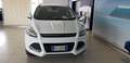 Ford Kuga 2.0 TDCI 120 CV S&S 2WD Plus Bianco - thumbnail 2