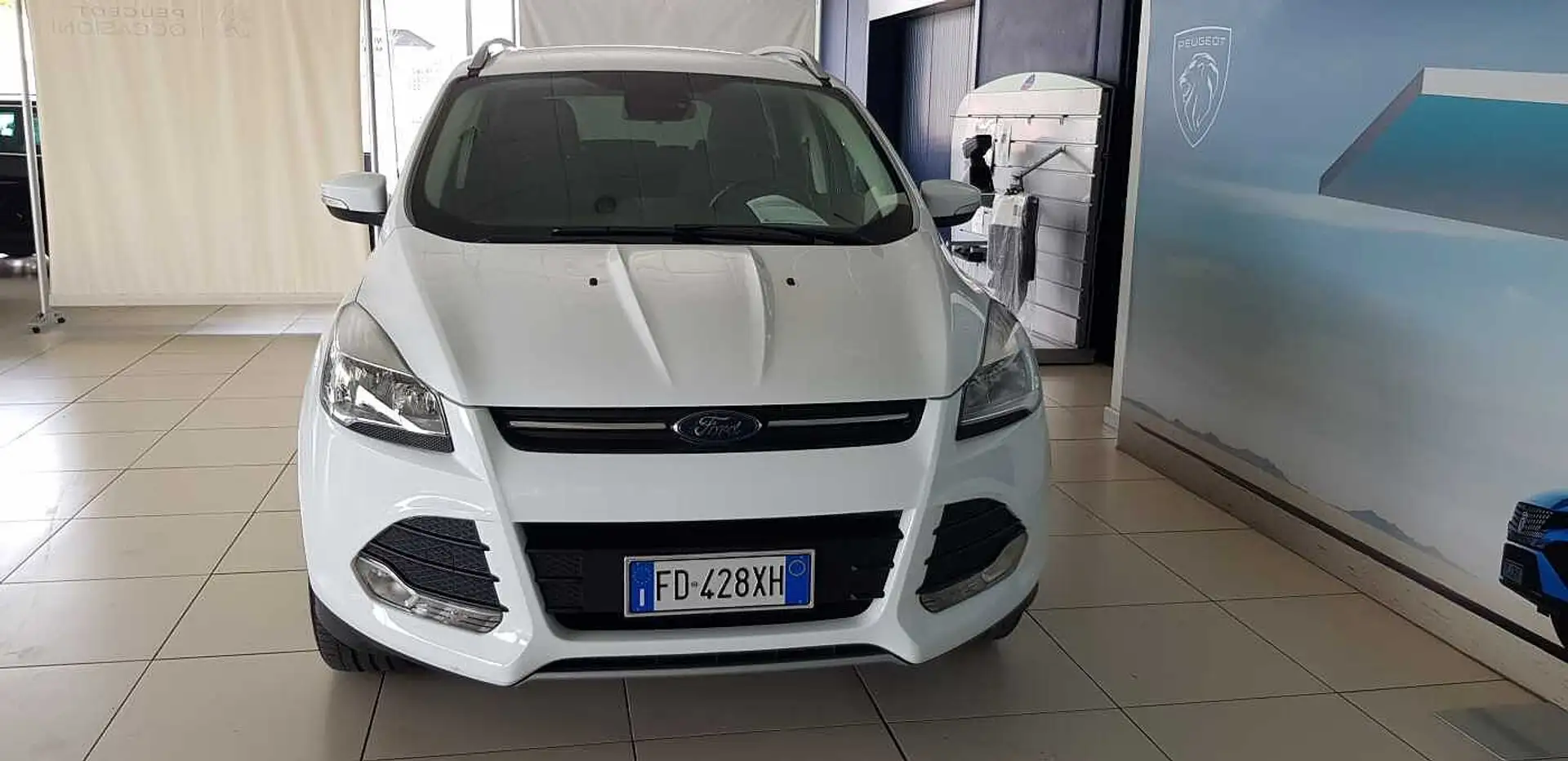 Ford Kuga 2.0 TDCI 120 CV S&S 2WD Plus Bianco - 2
